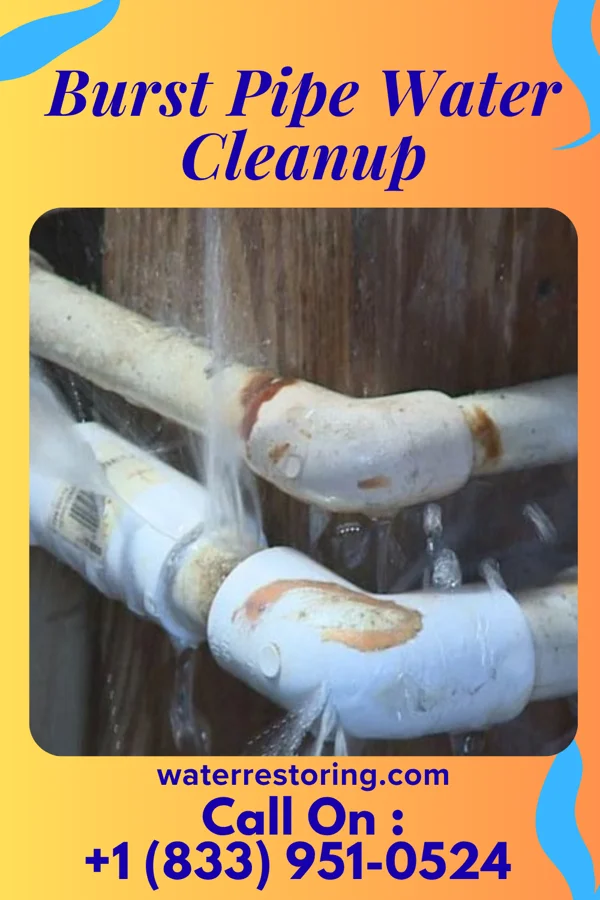 Burst Pipe Water Cleanup in Thomas, WV
