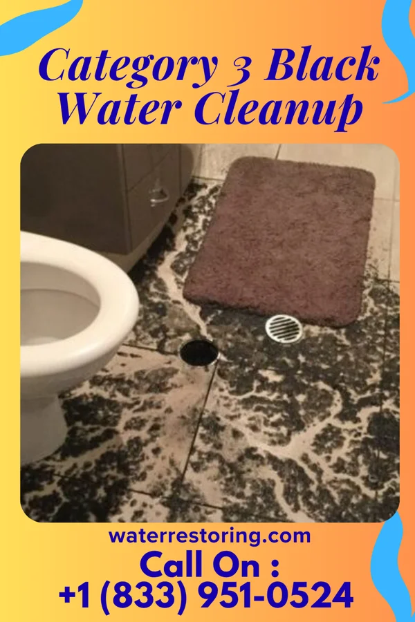 Category 3 Black Water Cleanup in Thomas, WV