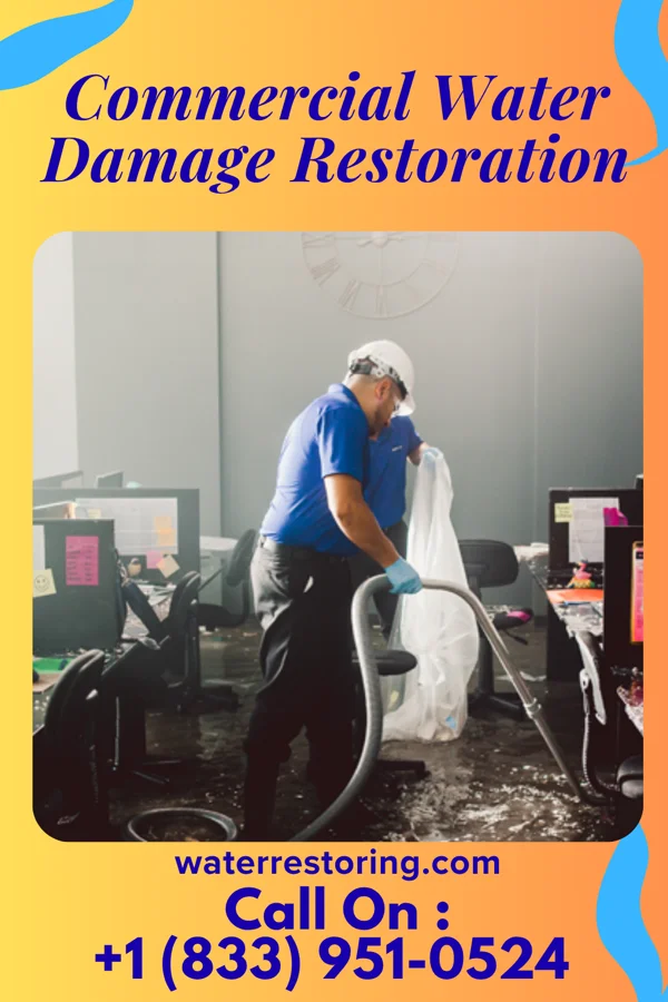 Commercial Water Damage Restoration in Thomas, WV