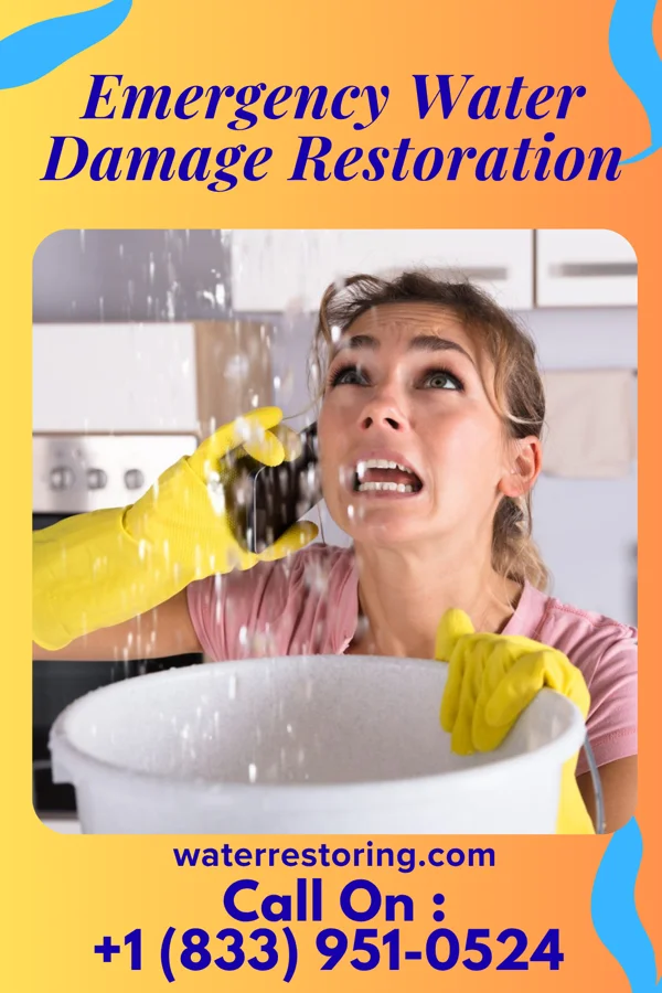 Emergency Water Damage Restoration in Thomas, WV