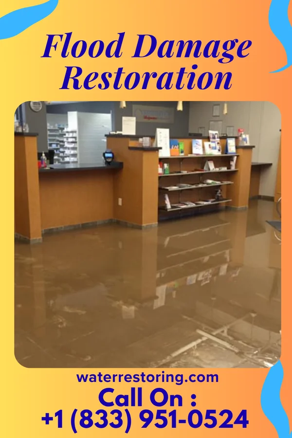 Flood Damage Restoration in Thomas, WV