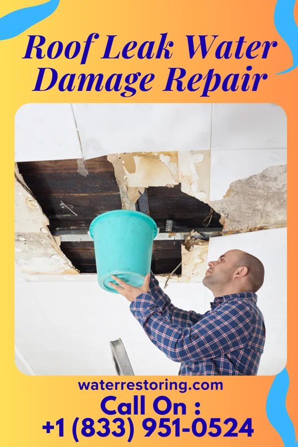 Roof Leak Water Damage Repair in Thomas, WV