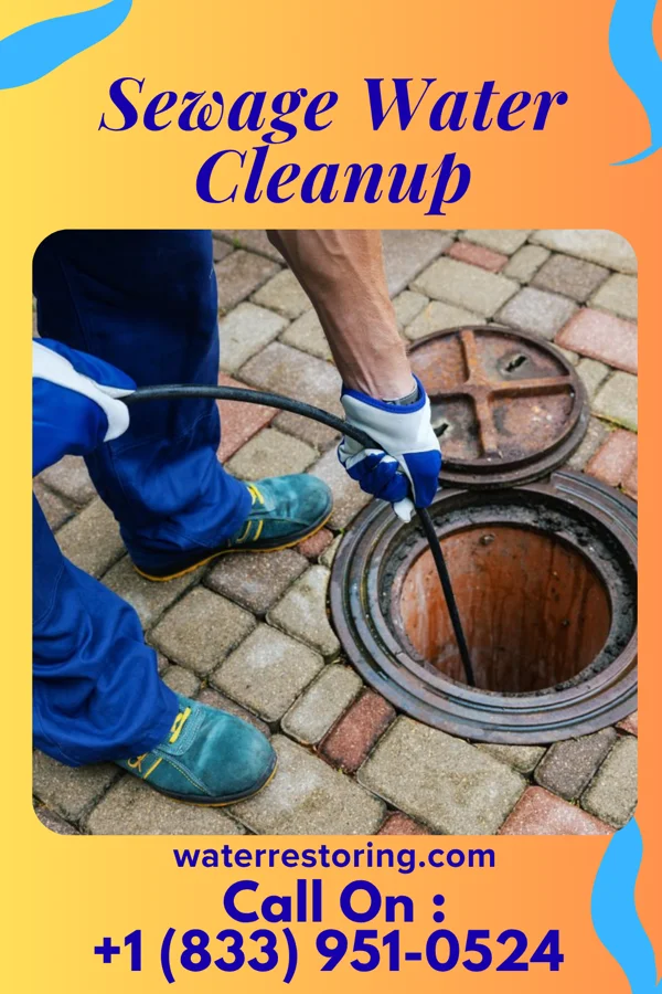 Sewage Water Cleanup in Thomas, WV