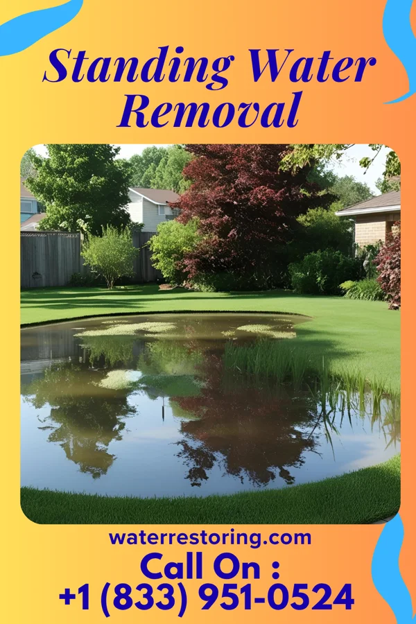 Standing Water Removal in Thomas, WV